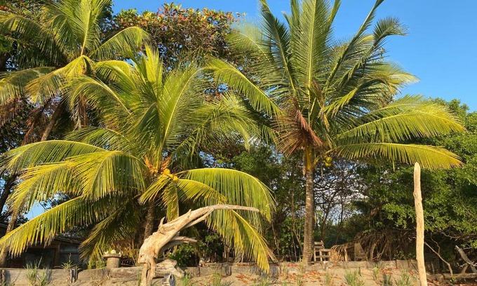 Garza House | Beachfront Eco Private Cabina