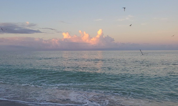 Englewood Condo | Beachfront - Fishing, Golf, Great Restaurants, Gulf Sunsets!