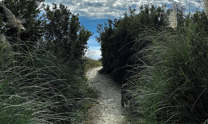 Isle of Palms Apartment | Beachy Vintage Vibe — Pet Friendly!