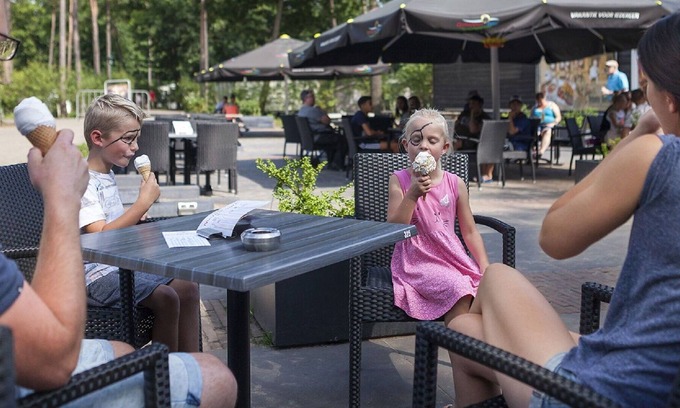 Schaarsbergen House | Beautiful apartment in villa for 4 guests with WIFI, pool, TV, terrace, pets allowed and parking