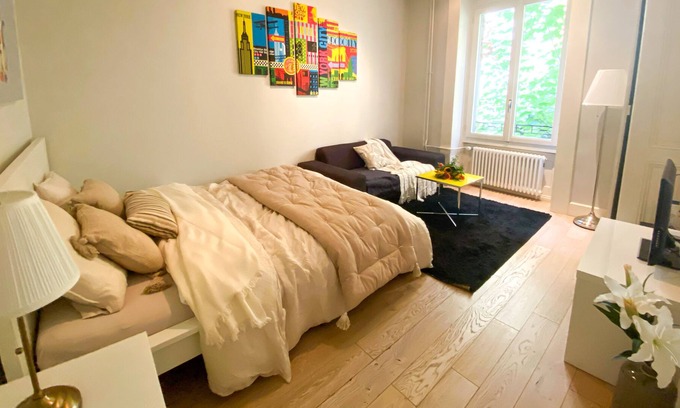 Augustins Apartment | Beautiful apartment in Plainpalais, Geneva