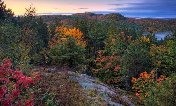 Nobel Cottage | Beautiful Bay in the township of Parry Sound/Nobel