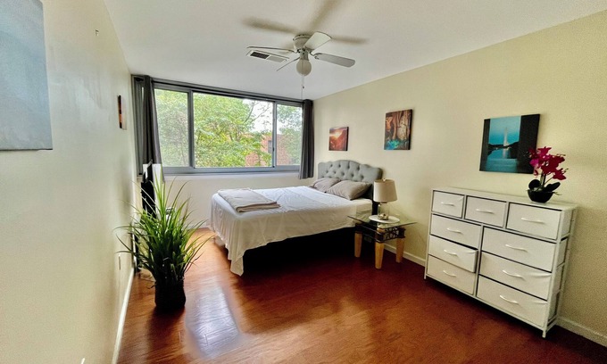 Annandale Condo | “Beautiful, Cozy & Lot of Natural Light Condo!”