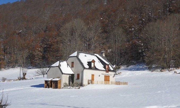 Campan Ski Chalet | Beautiful family chalet for 8 people in a privileged setting