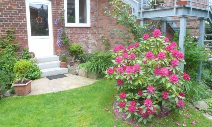 Dassow House | Beautiful Holiday Apartment in Dassow with Terrace and Barbecue