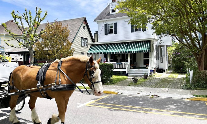 Cape May House | Beautiful Vacation Home, WALK to everything, pet friendly, historic district