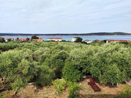 Barbat na Rabu Bed & Breakfast | Bed & Breakfast Josip