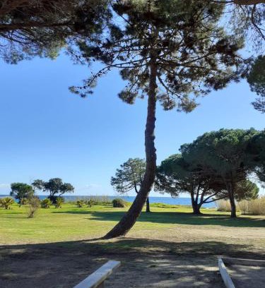 Poggio-Mezzana Apartment | Bel appartement avec piscine- Poggio Mezzana