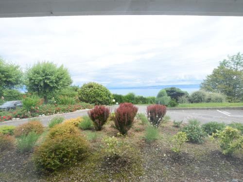 Evian-les-Bains Apartment | Bel appartement proche thermes avec balcon et animaux admis - FR-1-498-106