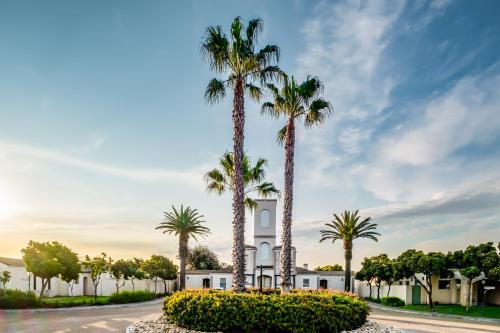Century City Apartment | Belina - Bougain Villas Premier