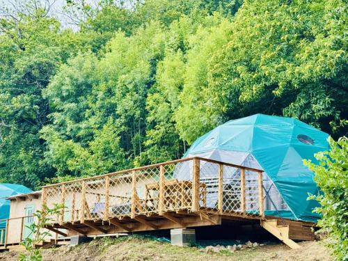 Riols House | Bella Dome