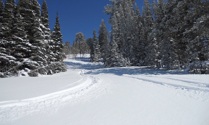 Powder Ridge Village Condo | Best Deal!! 2BR/2BA Ski-in/out At Powder Mountain - Rare Slopeside Accommodation