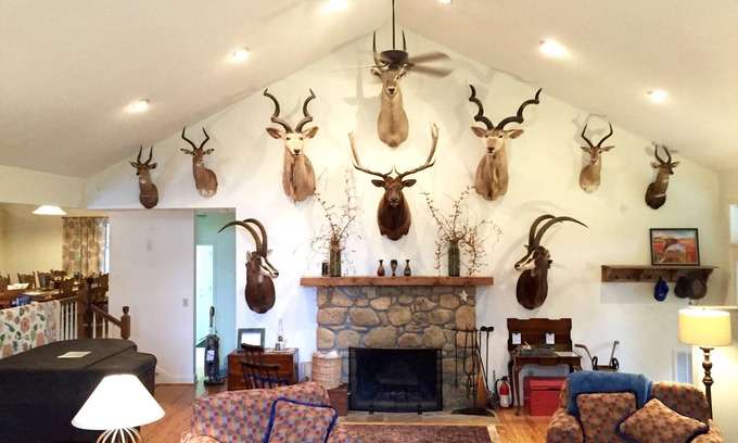 Skyland House | Best Of Both! Private Asheville Retreat Near Attractions and Surrounding Areas