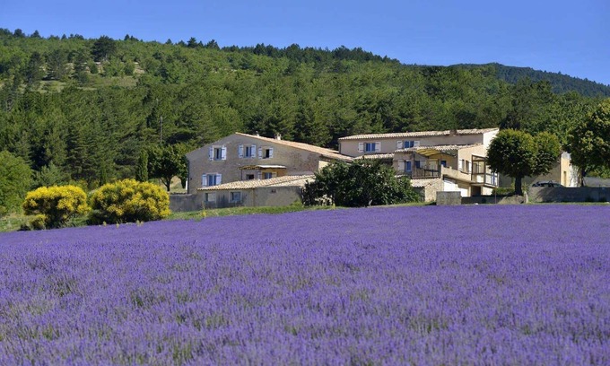 Aurel Other | Between Ventoux and Luberon *