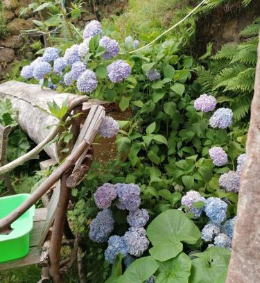 Aubure House | Bienvenue chez jacquou Chambre d'hote cher l'habitant