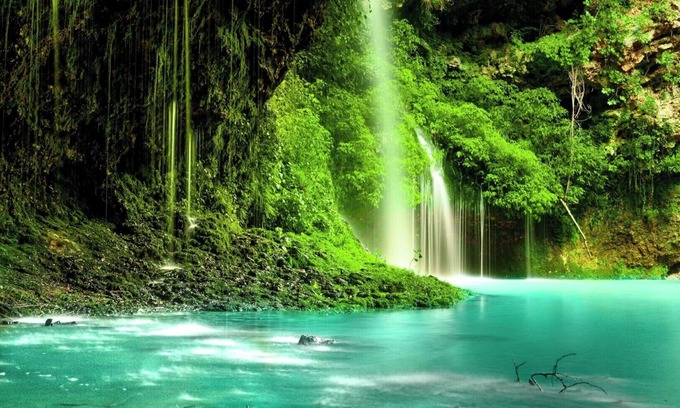 Westshore House | Big events and family fun Tampa style