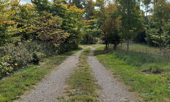 Glen Arbor Cottage | Big Glen Lake 4 Bedroom Private Cove