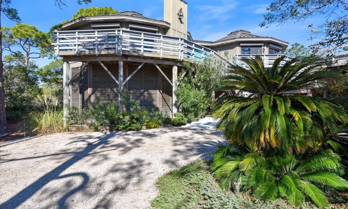 Sea Palm Village House | BIRD WATCHER IS PARADISE FOR A NATURE LOVER!