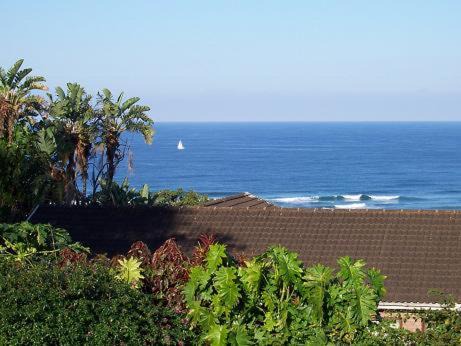 Illovo Beach Bed & Breakfast | Birdcage B&B