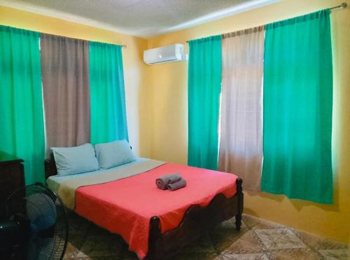 Calibishie Apartment | Birds Nest Apartments