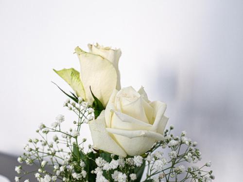 Otranto Bed & Breakfast | biRose B&B Affittacamere