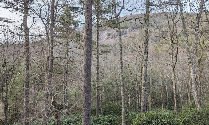 Glenville Cabin | BlackBeary Hideaway For Fun