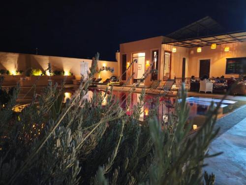 Majorelle Villa | bled ghazal