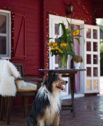 Xanten House | Blockhütte M o e r e n h o f Xanten