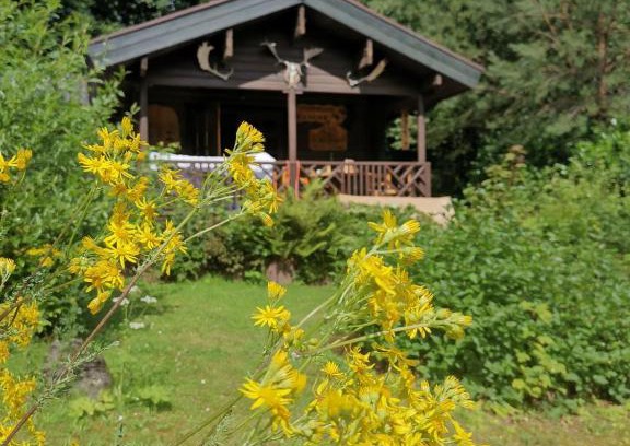 Bad Arolsen House | Blockhaus am Twistesee mit 3 Schlafzimmern