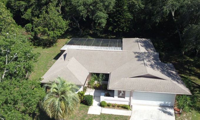 Palm Harbor House | Blue Dolphin Privacy Paradise Screened Pool Home!