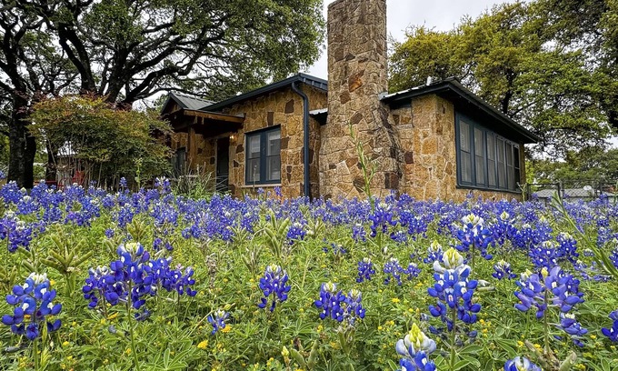 Johnson City House | Blue Haus with hot tub, shuffleboard, EV charger - walk to town & wineries