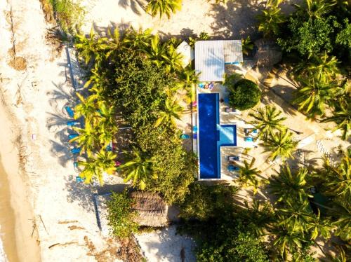 Guachaca Hotel | Blue Mango Beach Hotel