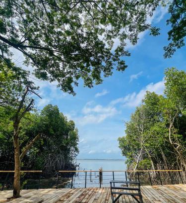 Negombo Bed & Breakfast | Blue Mangrove lagoon by serenity
