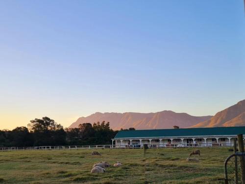 Swellendam Bed & Breakfast | Blue Mountain Farm Lodge, Cabins & Cottages