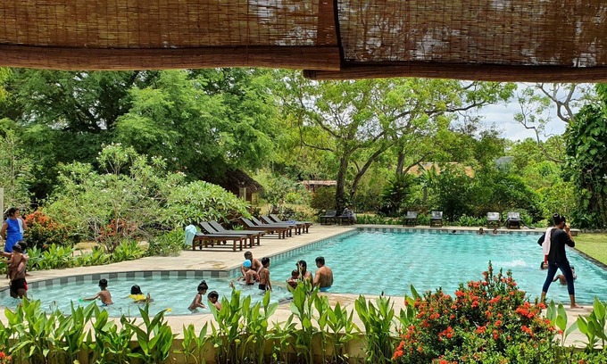 Mahasenpura Hotel | Blue Turtle Hotel