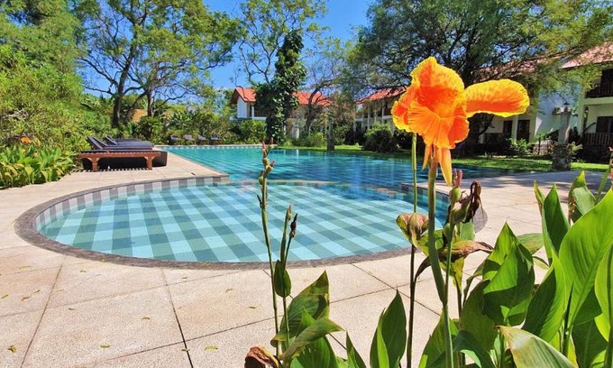 Mahasenpura Hotel | Blue Turtle Hotel
