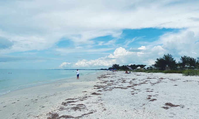 Golden Beach House | Boca Grande Single Family Home, Walk To Beach, Pool, Private Yard!
