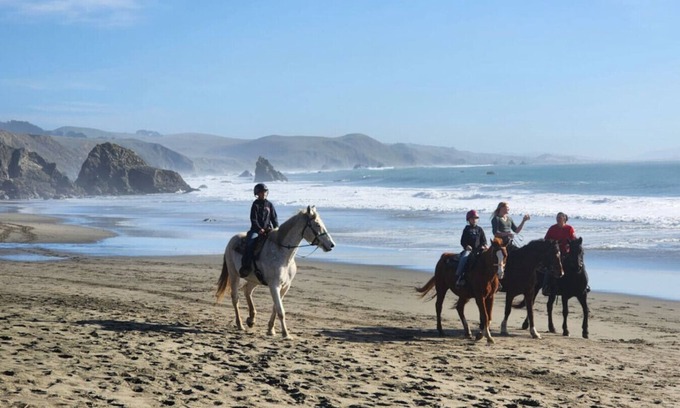 Bodega Bay Apartment | Bodega Bay Sonoma Coast Ocean Views 3 Bedroom Home