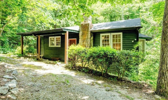 Hendersonville House | Book Lover's Mountain Cabin | 2 King Bedrooms, Library Wall & Peaceful Views