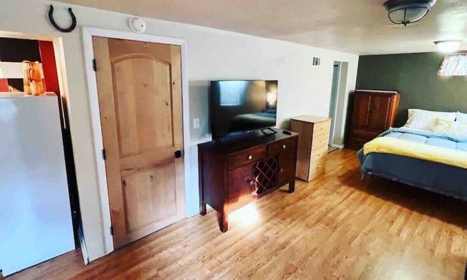 Central - Terry Apartment | Bo’s Spacious Studio Basement with HOT TUB
