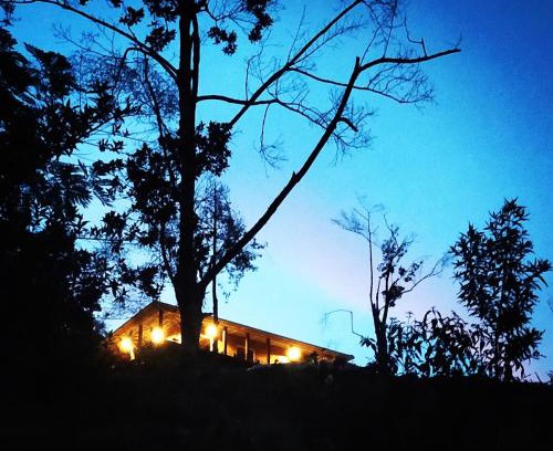 San Carlos House | Bosque Místico