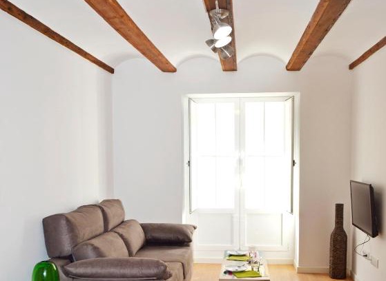 El Botanic Apartment | Botànic Apartaments