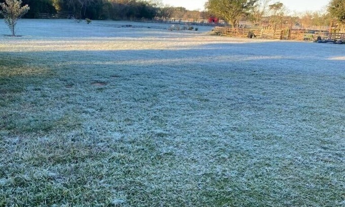 Cypress House | Botanical Oasis in North Houston