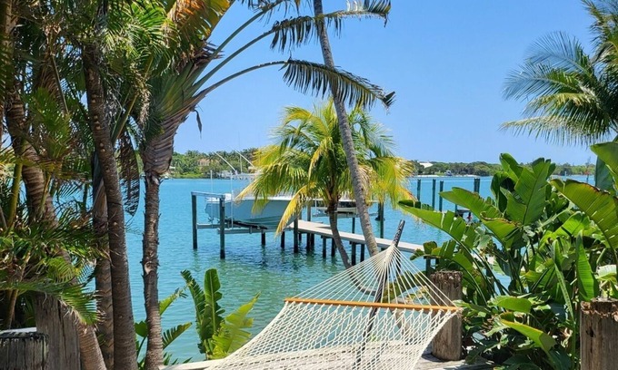 Jupiter Cottage | Brando on blue water palm tree paradise.