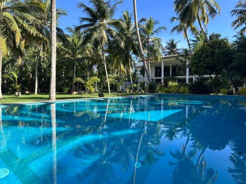 Talpe Cabin | BREATHE Collections Habaraduwa