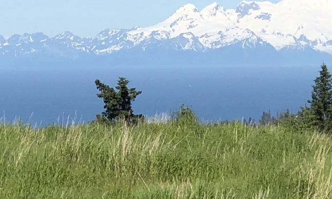 Homer Cabin | Breathtaking View and Tranquility: A Rustic -Lovely Homer Experience