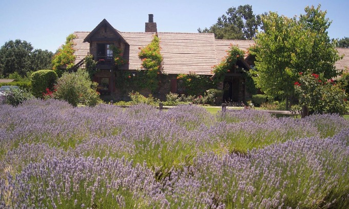 Templeton House | Briarwood Cottage is a four-bedroom, idyllic getaway on the ONX Estate Vineyard!