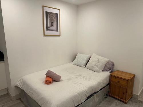 Bensham Manor Apartment | Brigstock3