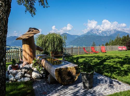 Pfarrwerfen Apartment | Brotzeitalm