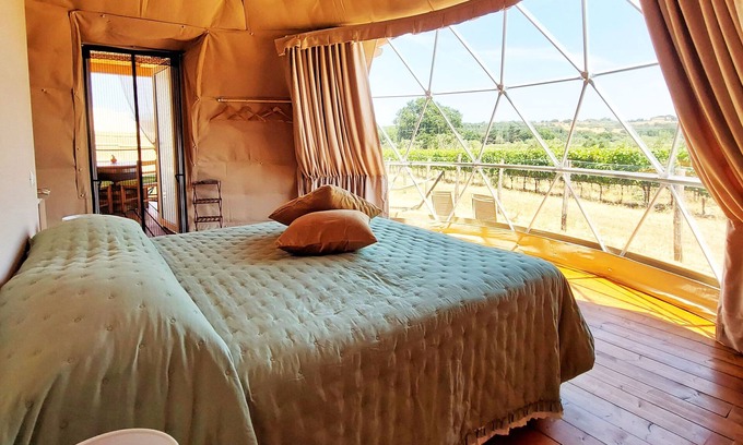 Suvereto Other | Bubble Room with a view of Tuscan vineyards | Le Stelle di Elisa - Wine Truffle Glamping